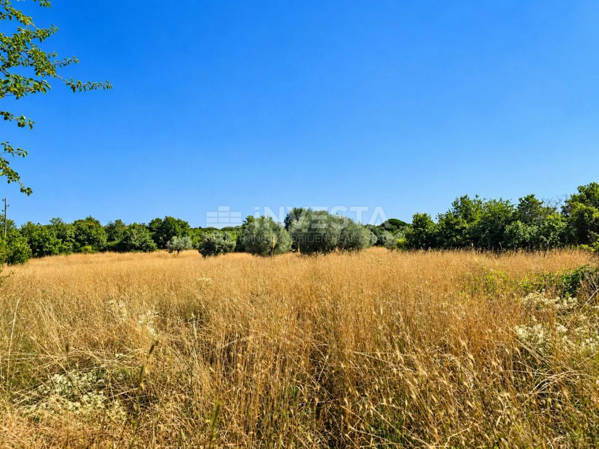 Gallesano, Fondole – terreno di 4.045 m², a soli 70 m dalla strada Pola–Dignano