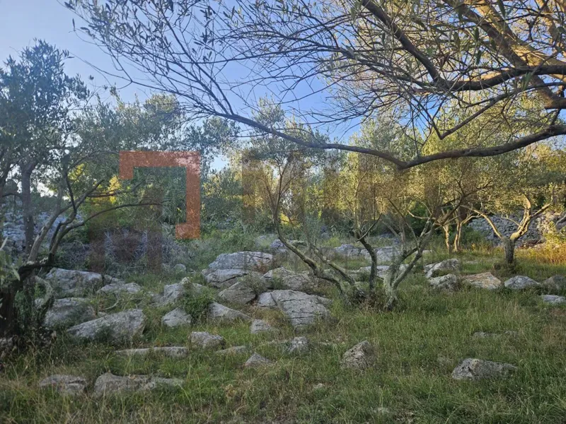 Grad Krk, poljoprivredno zemljište-maslinik prodaja