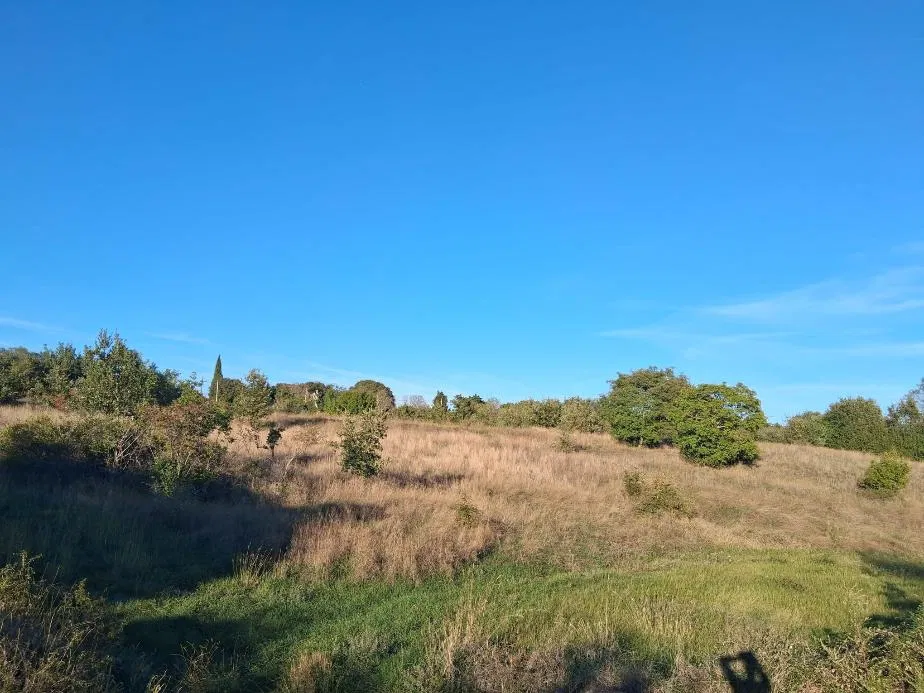 Vidulini, Žminj, 13.861m2