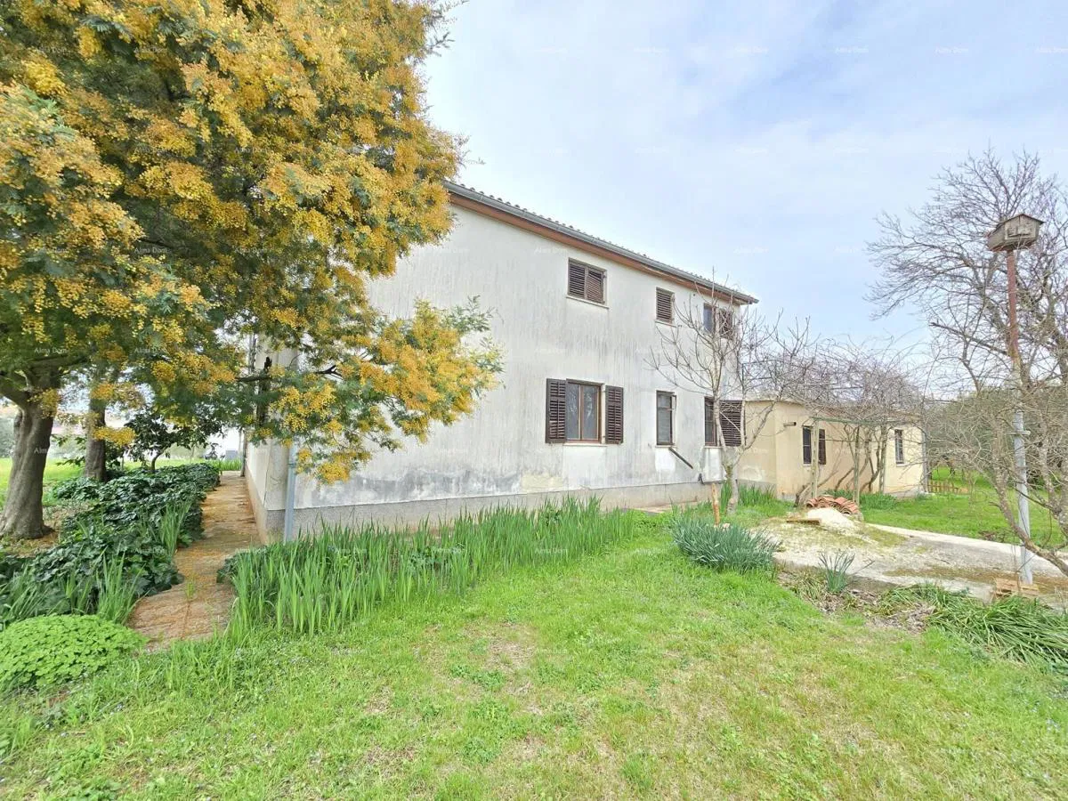 Prostrana kuća u blizini Pule ! Dva stana- 2500 m² zemljišta!