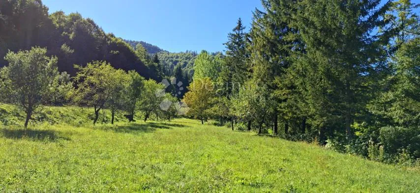 Zazidljivo zemljišče Čabar, 3.259m2