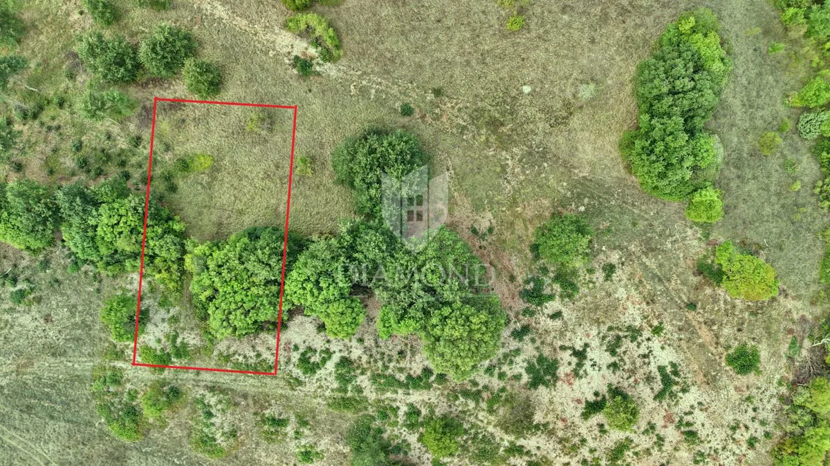 Labin, okolica, građevinsko zemljište okruženo šumom