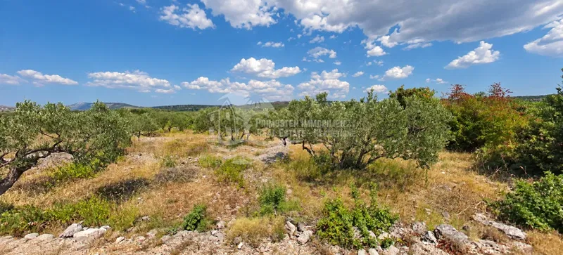 Primošten – građevinsko zemljište 3.600 m² u mirnom okruženju