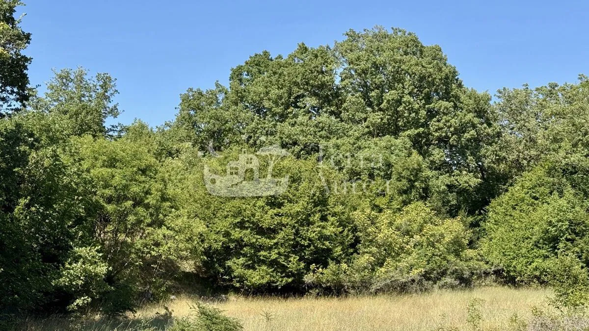 Poljoprivredno zemljište, Čižići, otok Krk