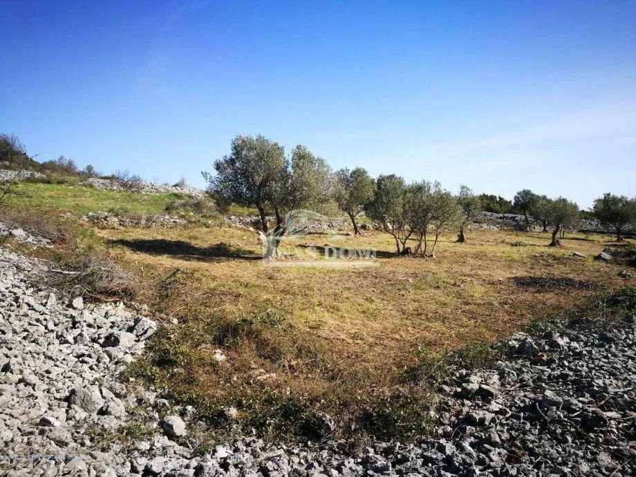 Prodaja, Zemljište, Negrađevinsko, Šibensko-kninska županija, Vodice