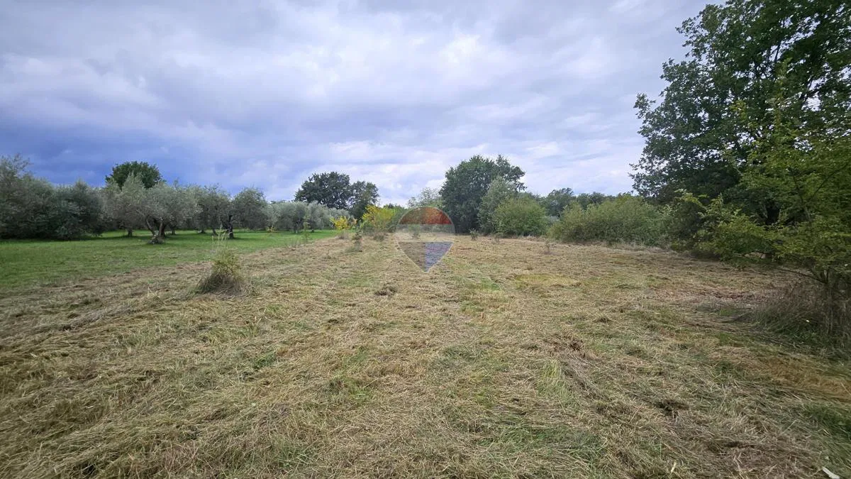 Istra, Umag okolica- zemljište uz građevinsku zonu