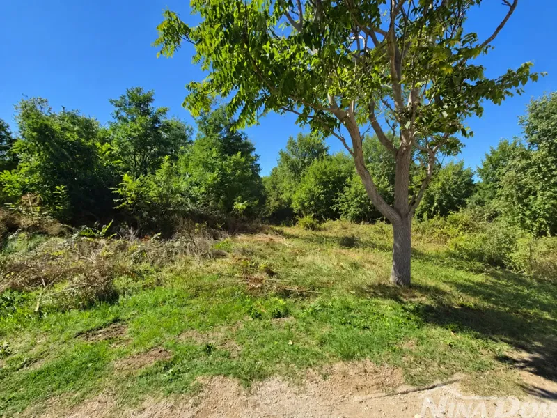 Privlaka- Građevinsko zemljište 890 m2, 300 metara od mora