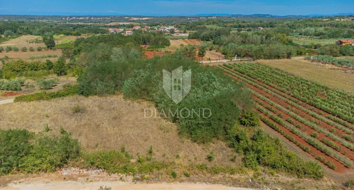 Umag, zemljište 4516 m² na odličnoj lokaciji!