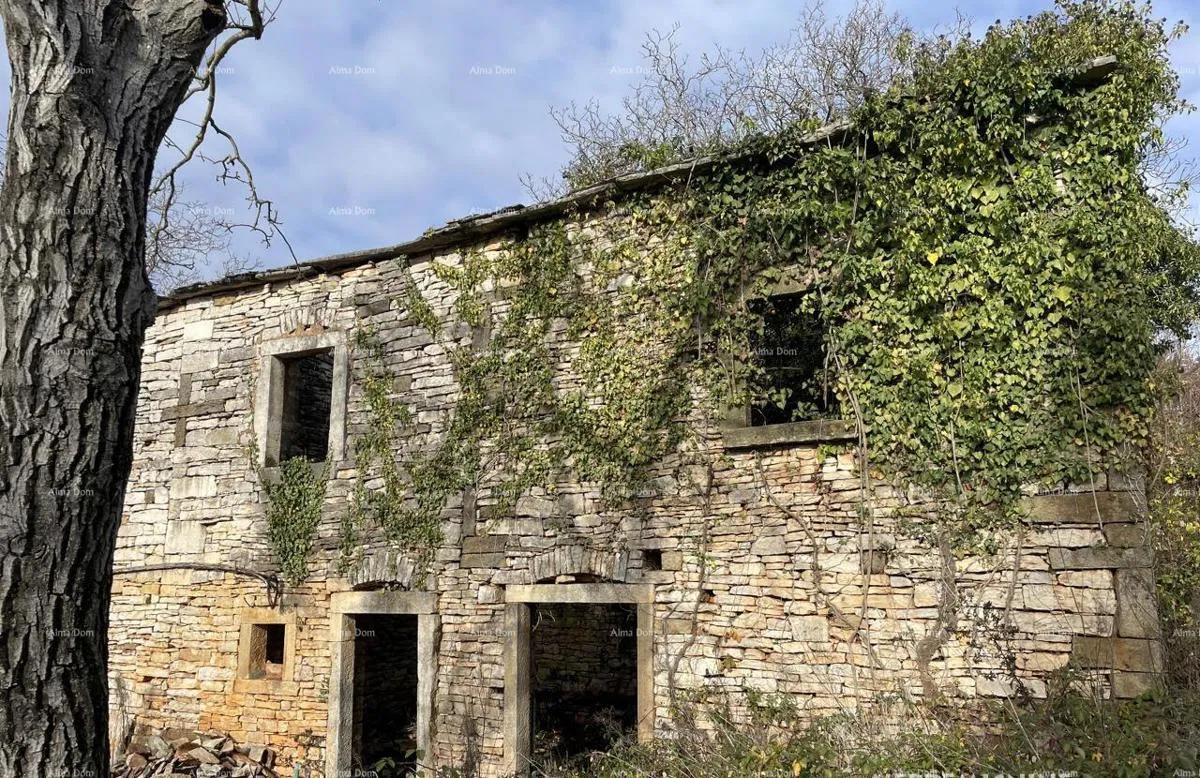 Prodaja - kamena istrska kuća za renovaciju s velikim zemljištem, Oprtalj!