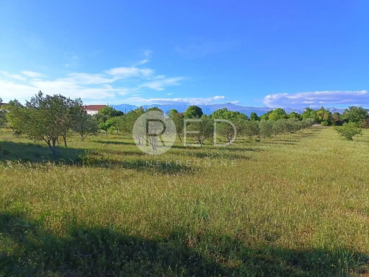 Terreno Pridraga, Novigrad, 1.883m2