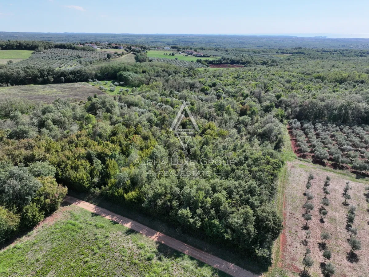 Istria, Kaštelir : Grunt rolny 13 182 m²