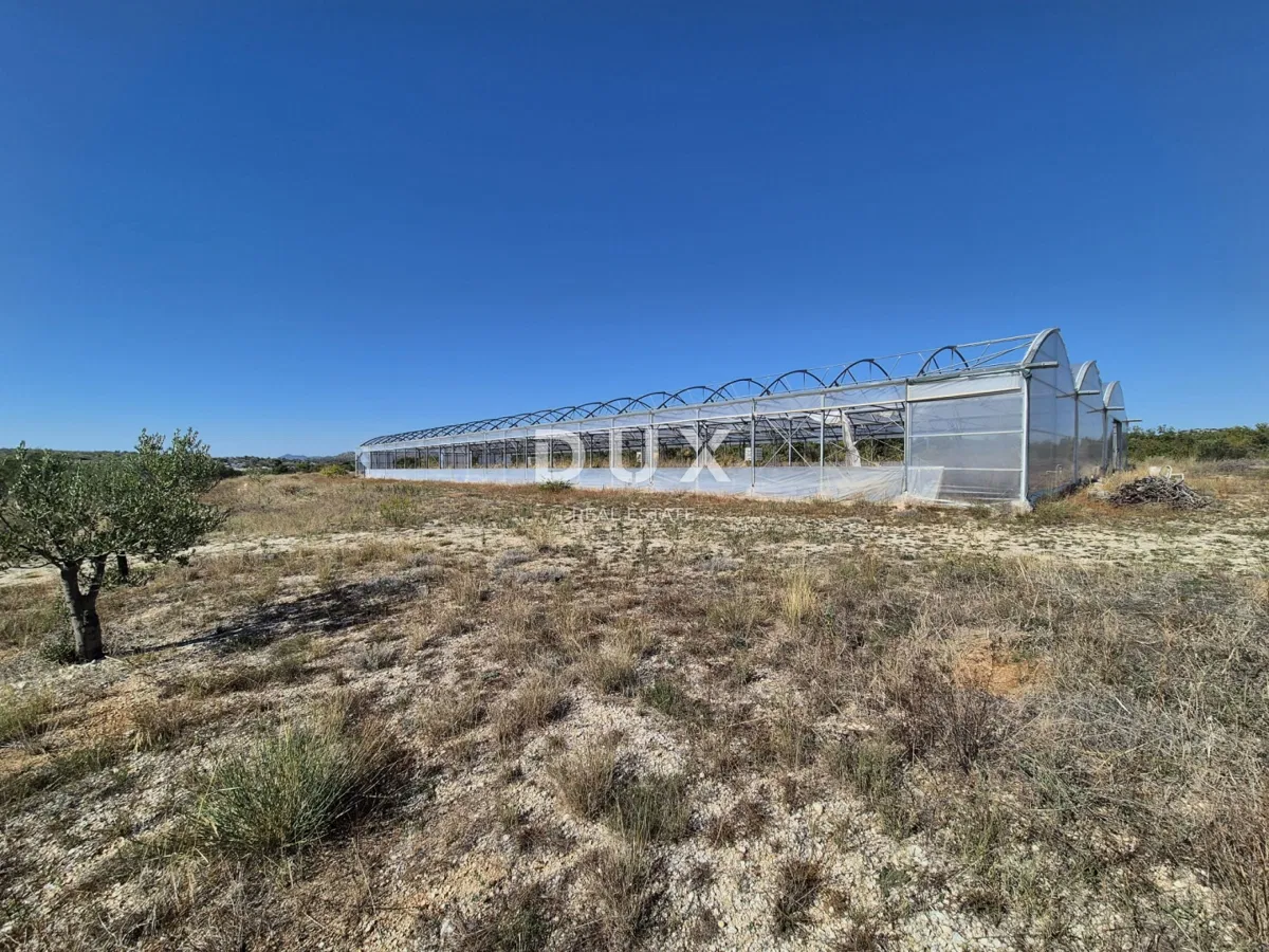Šibenik, Martinska, grunty rolne, 14 000 m²