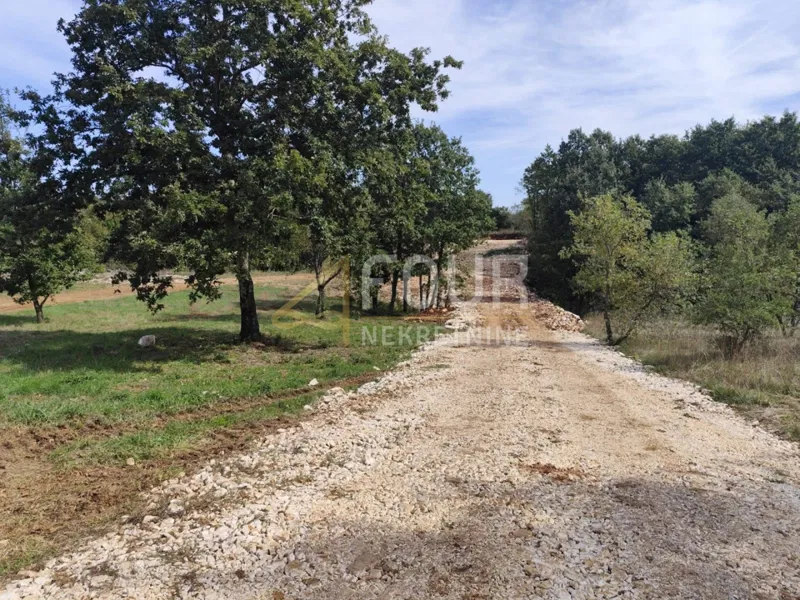 Istra, Barban, građevinsko zemljište, 910m2 – 2