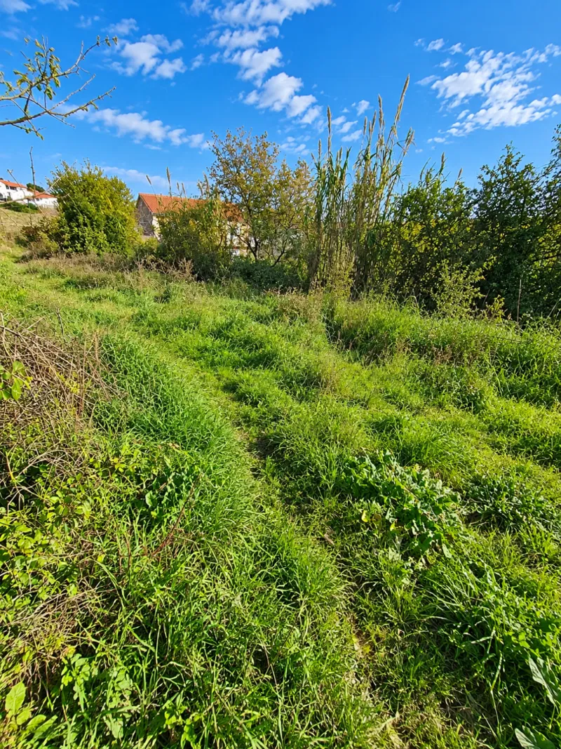 VINTIJAN – GRAĐEVINSKO ZEMLJIŠTE 805 m² – ODLIČNA LOKACIJA UZ CESTU! – 2