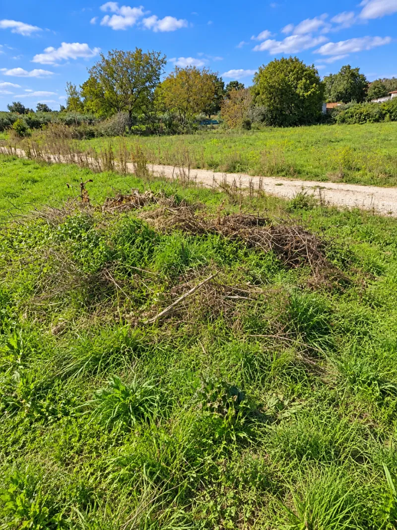 VINTIJAN – GRAĐEVINSKO ZEMLJIŠTE 805 m² – ODLIČNA LOKACIJA UZ CESTU! – 3