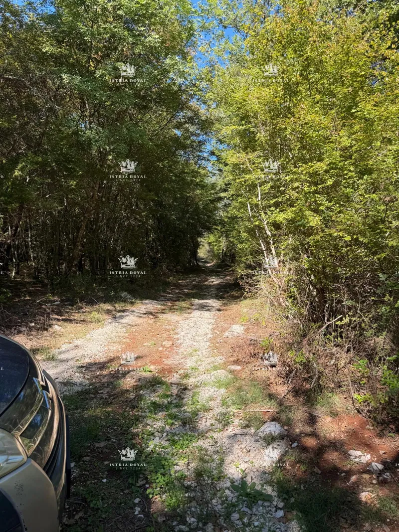 Istra , Zakinji , šuma 10700m2 , hrast i grab , – 3