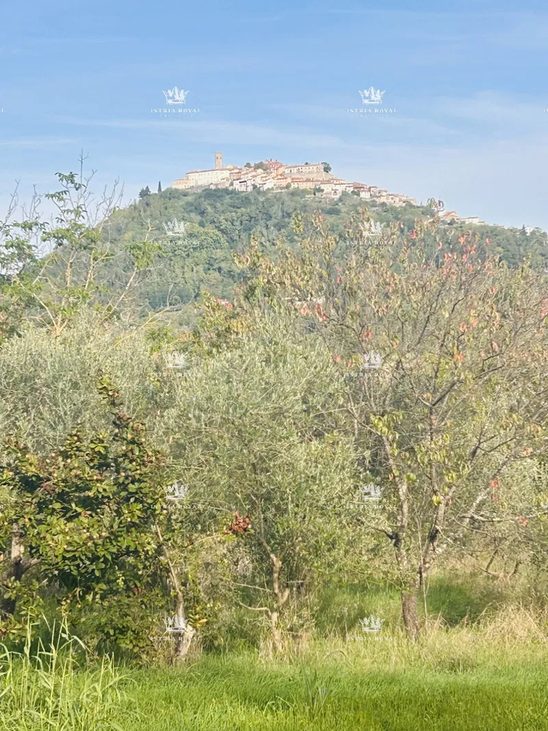 Istra , Motovun , gradjevinsko zemljište 2600m2, za 3 vile , voda i struja na parceli , otvoren pogled na Motovun , – 2