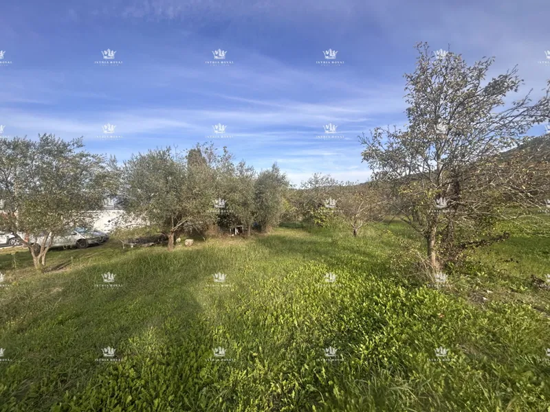 Istra, Motovun, Baugrundstück 2600 m2, für 3 Villen, Wasser und Strom auf dem Grundstück, freier Blick auf Motovun, – 3