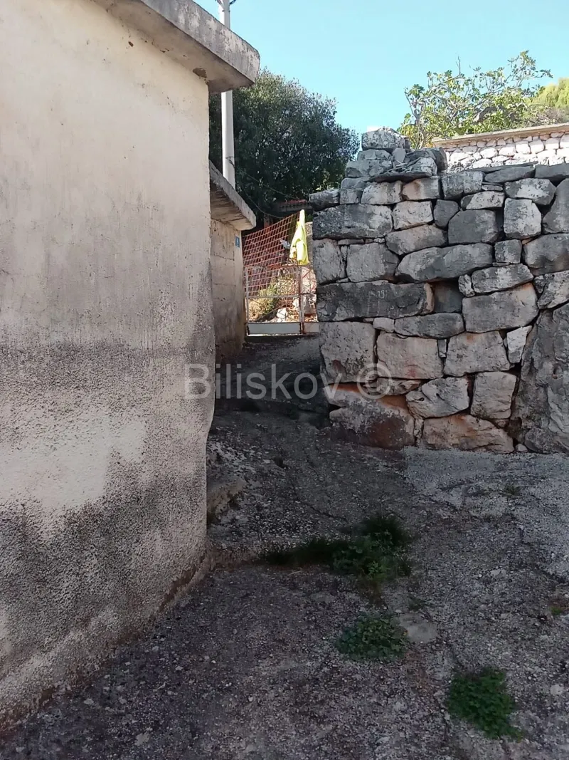Prodaja,maslinik 1800m2 s kućom za adaptaciju,Mitlo-Vinovac – 2
