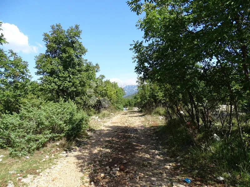 Zemljišče Mavrinci, Čavle, 3.136m2 – 2