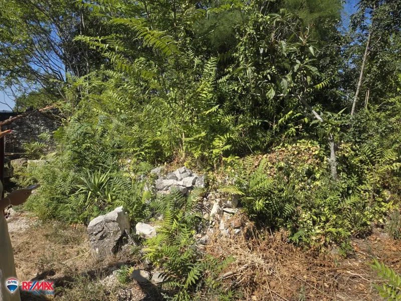Pozemek Kapelica – 3