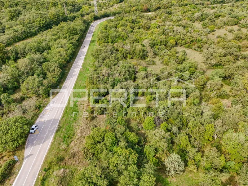 Istra – kmetijsko zemljišče 16.978,00 m², voda na terenu – 2