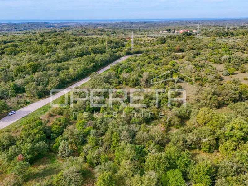 Istra – kmetijsko zemljišče 16.978,00 m², voda na terenu – 3