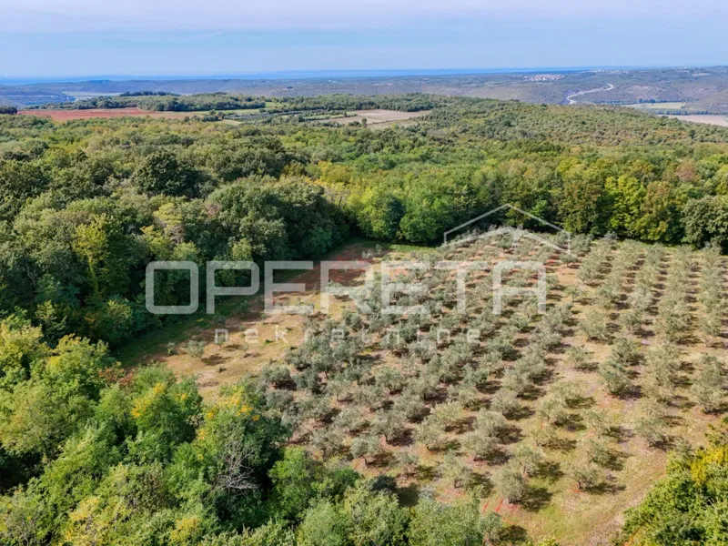 Vižinada, Vižinada, 12.101,00 m2, 120.000,00 EUR – 2