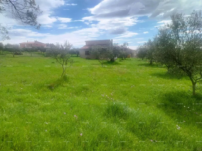 GRAĐEVINSKO ZEMLJIŠTE ZA INVESTICIJSKI PROJEKT – PULA, ŠIJANA, 3.353 m² – 3
