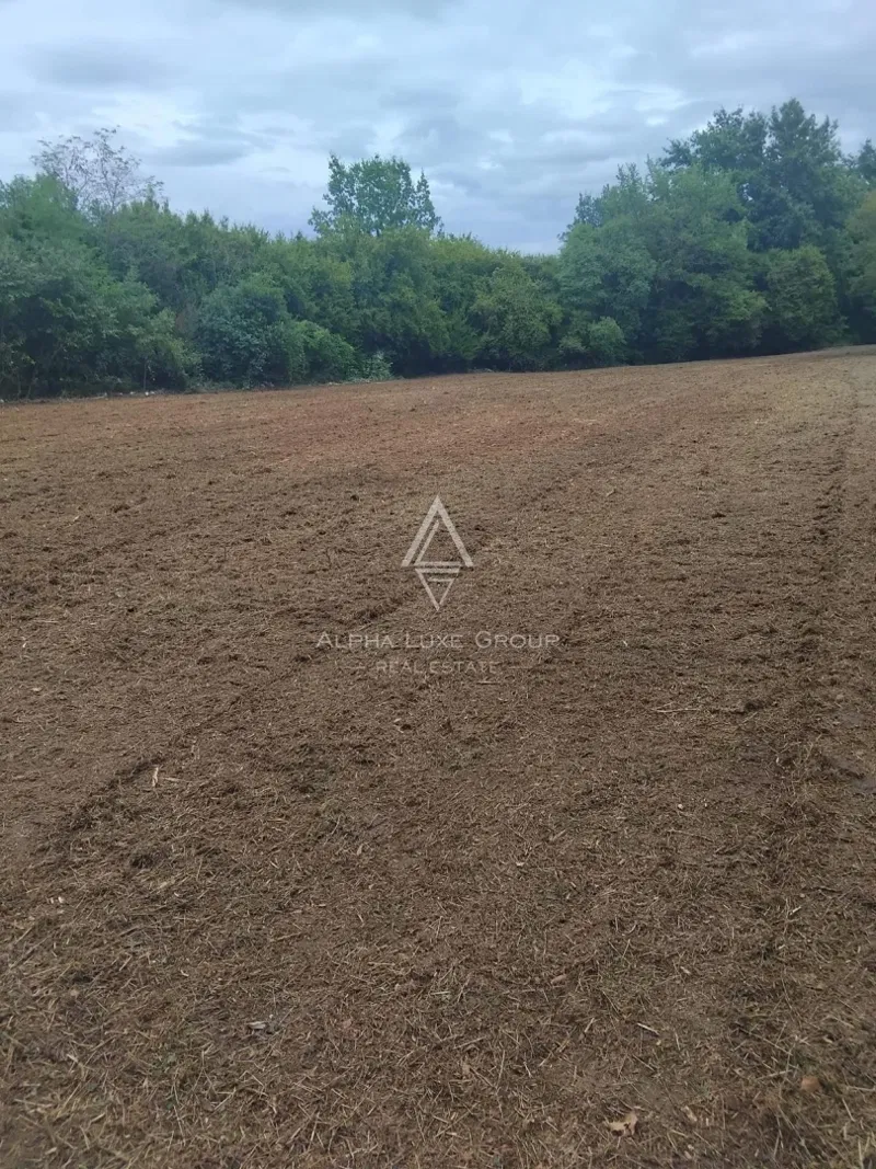 Istrien, Poreč : Baugrundstück mit Genehmigung, 776 m² – 2