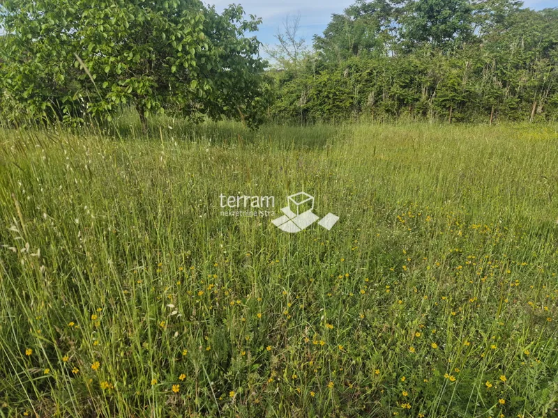 Istra, Ližnjan, Jadreški, Baugrundstück 750 m2, #verkauf – 2