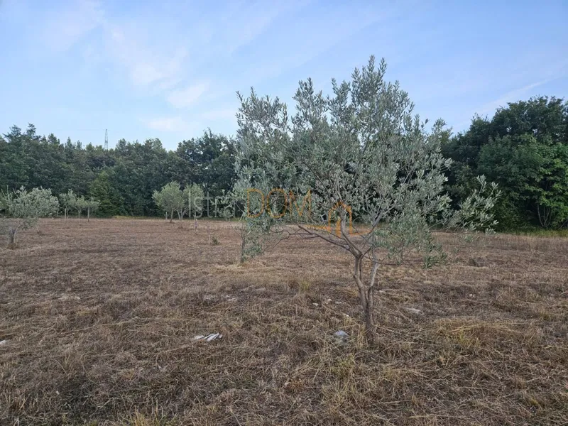 Terreno Vodnjan, 20.214m2 – 2