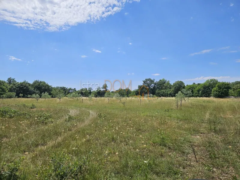 Terreno Vodnjan, 20.214m2 – 3