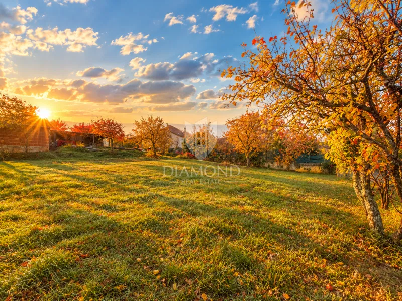Istra, Motovun, primerno gradbeno zemljišče za vaš dom v Istri! – 3