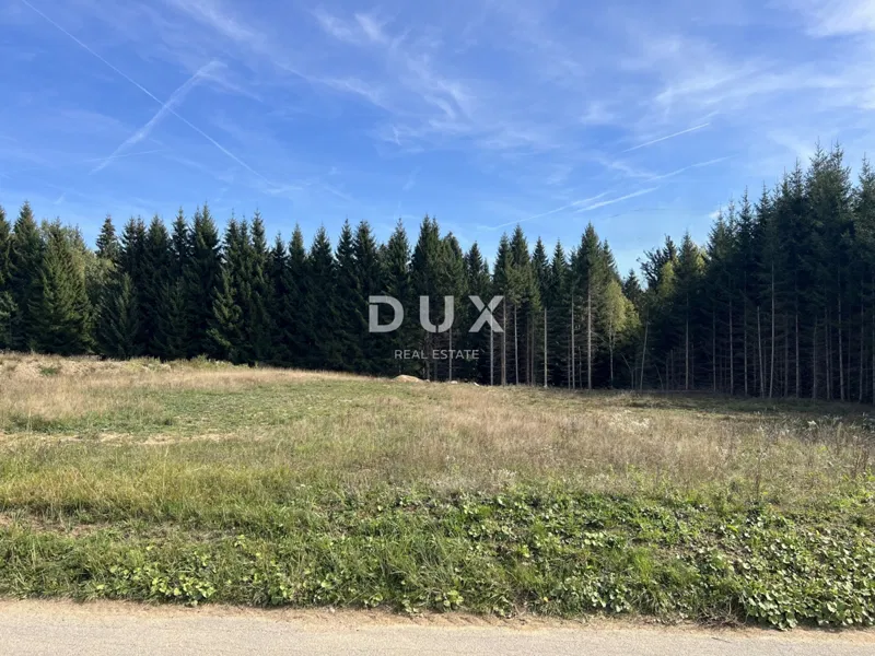 Gorski Kotar, Hlevci, pravokutna parcela, 4.780 m2