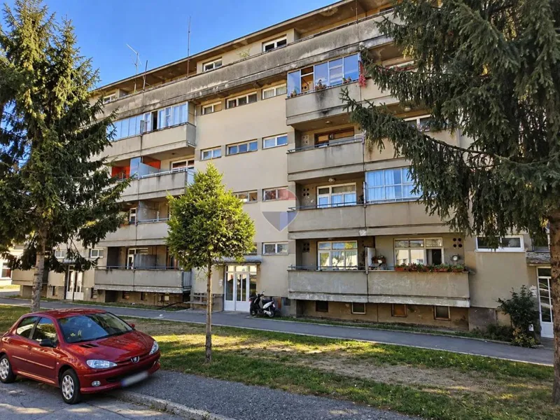 Condo/Apartment Begovići, Petrinja, 611,61m2