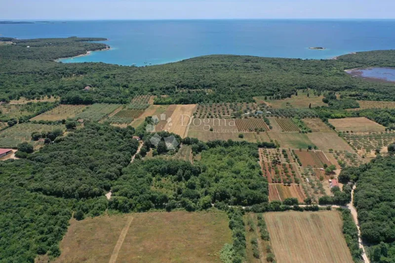 Сельскохозяйственная земля Rovinj, 14.724m2