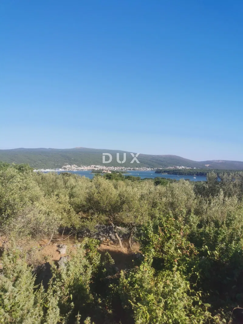 OTOK KRK, KRK - Maslinik na dobroj lokaciji – 3