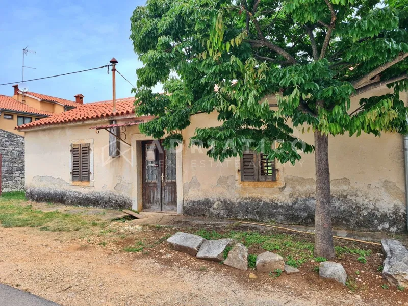 Višnjan, Istra – Kuća s vrtom i projektom za kuću s bazenom – 2