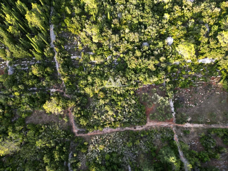 Land Poljana – 2