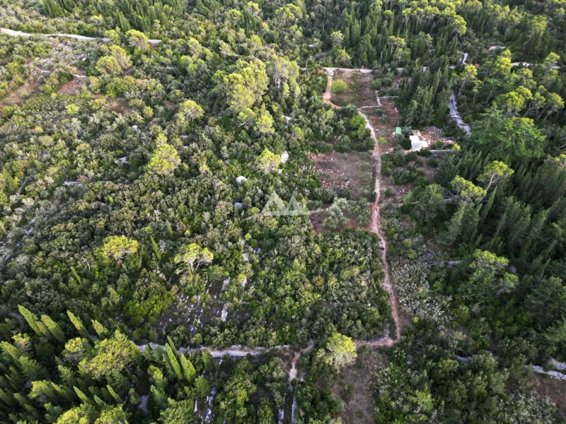 Land Poljana – 3
