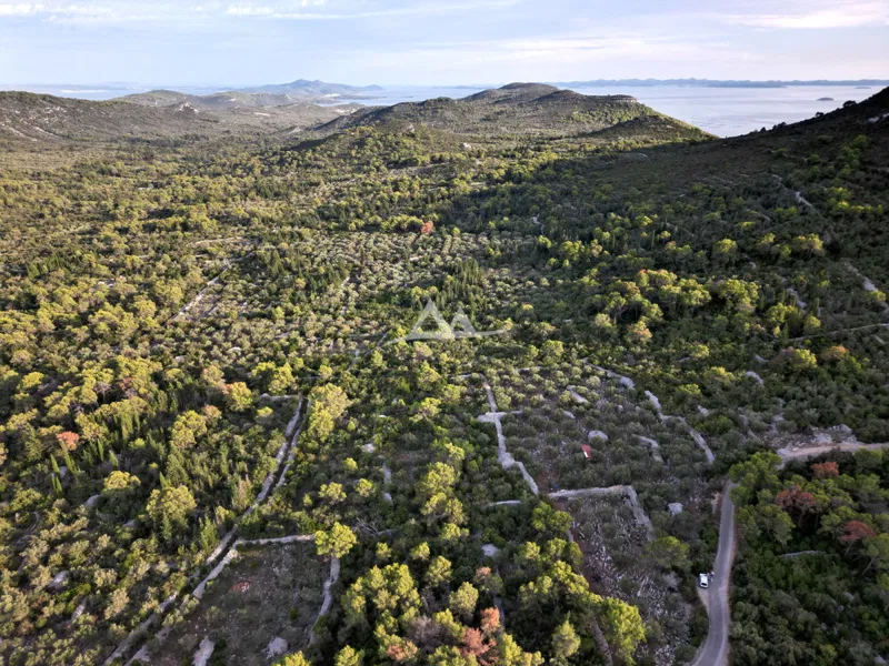 OTOK UGLJAN – POLJANA | POLJOPRIVREDNO ZEMLJIŠTE 5.350 m²