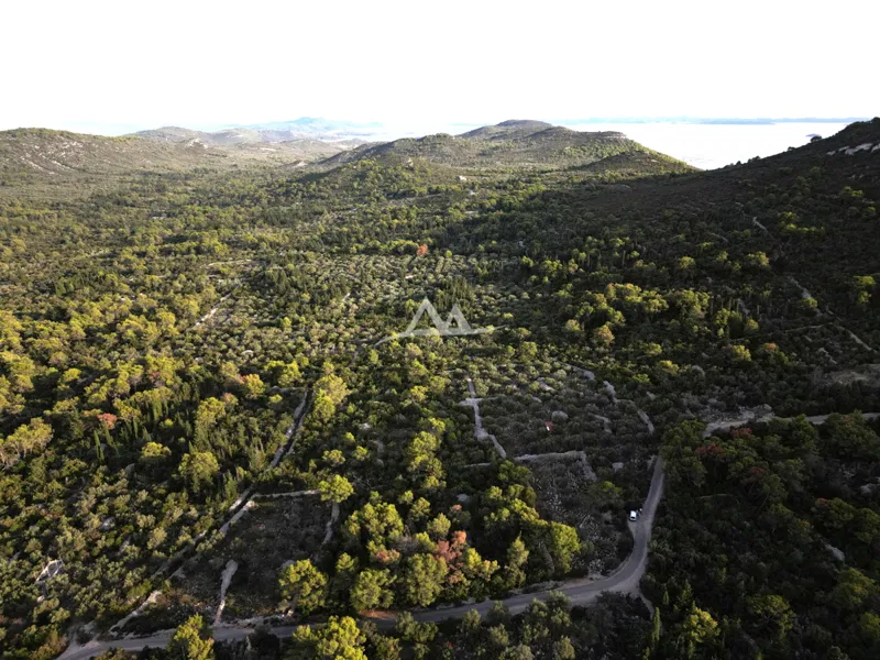 OTOK UGLJAN – POLJANA | POLJOPRIVREDNO ZEMLJIŠTE 5.350 m² – 2