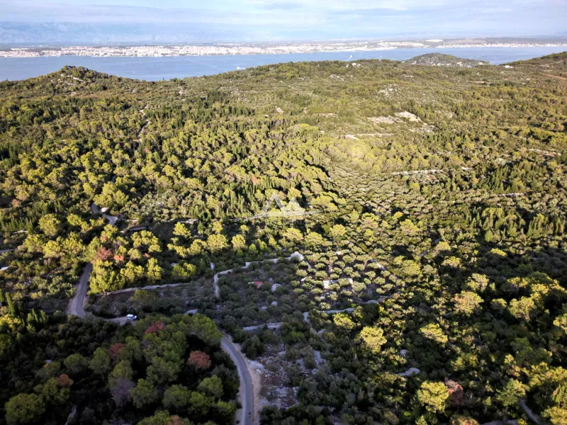 OTOK UGLJAN – POLJANA | POLJOPRIVREDNO ZEMLJIŠTE 5.350 m² – 3