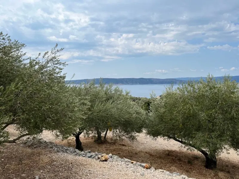 ISLAND OF KRK! DETACHED STONE HOUSE + OLIVE GROVE! PANORAMIC SEA VIEW! – 3