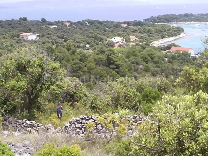 Drvenik Veli, agricultural land 4000m2, near the sea – 3