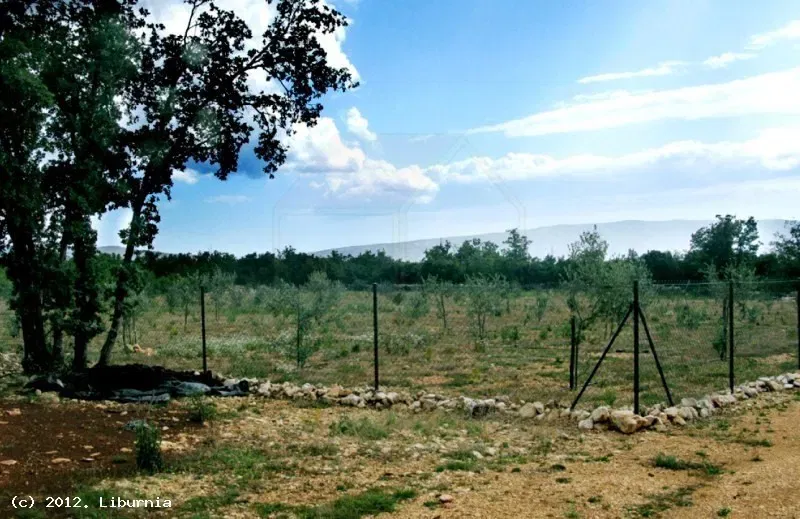 Telek Krk – 2