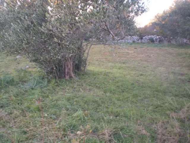 Land Starigrad Paklenica – 2