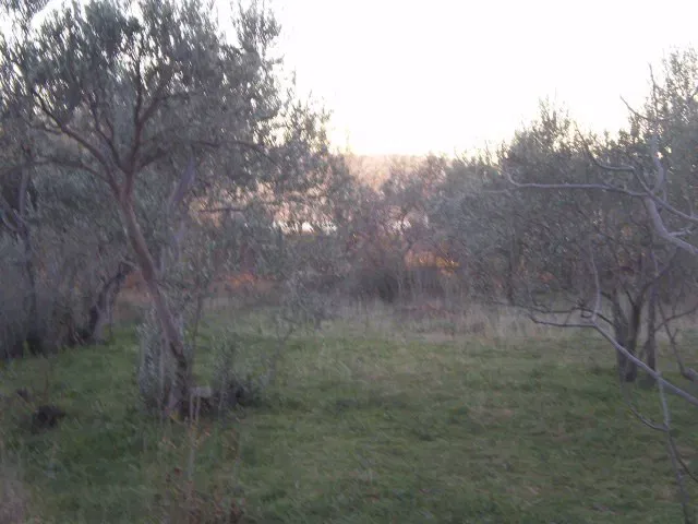Telek Starigrad Paklenica – 2