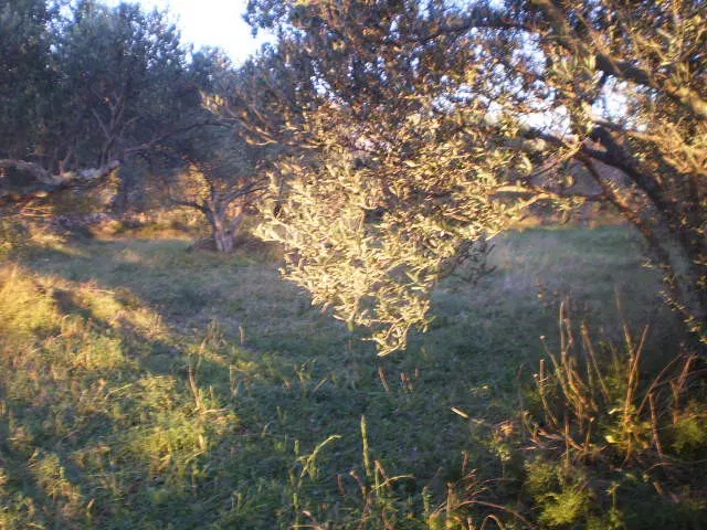 Telek Starigrad Paklenica – 3